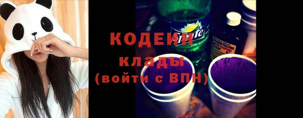 индика Абаза
