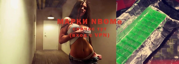 индика Абаза