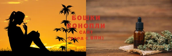 индика Абаза