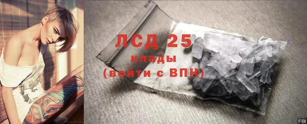 индика Абаза