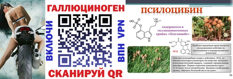 Псилоцибиновые грибы MAGIC MUSHROOMS  продажа наркотиков  Кизляр 