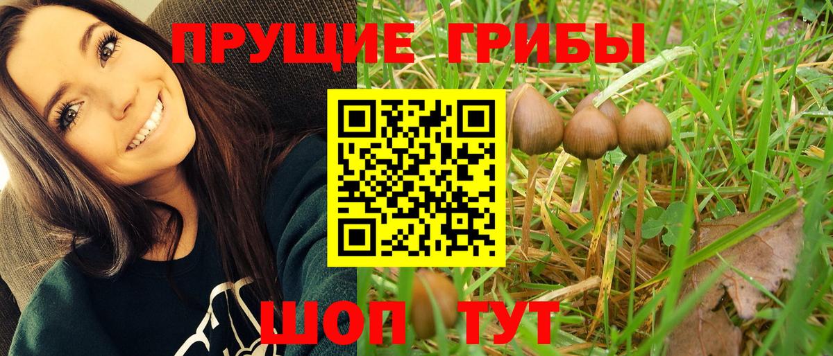 Псилоцибиновые грибы мухоморы  Галлюциногенные грибы ЛСД  Вход с VPN  Кизляр 
